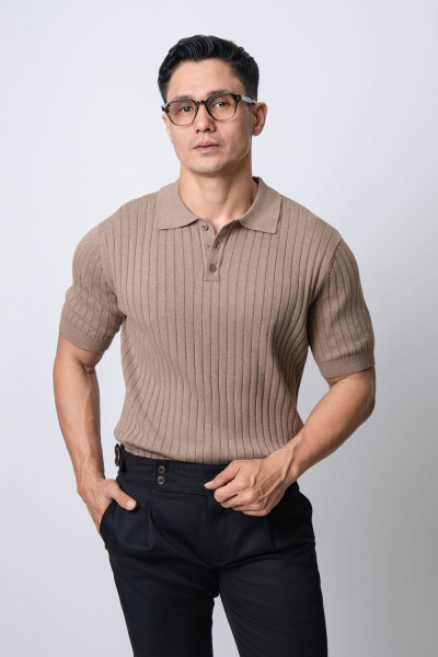 Light Brown Striped Knitted s/s Polo Shirt